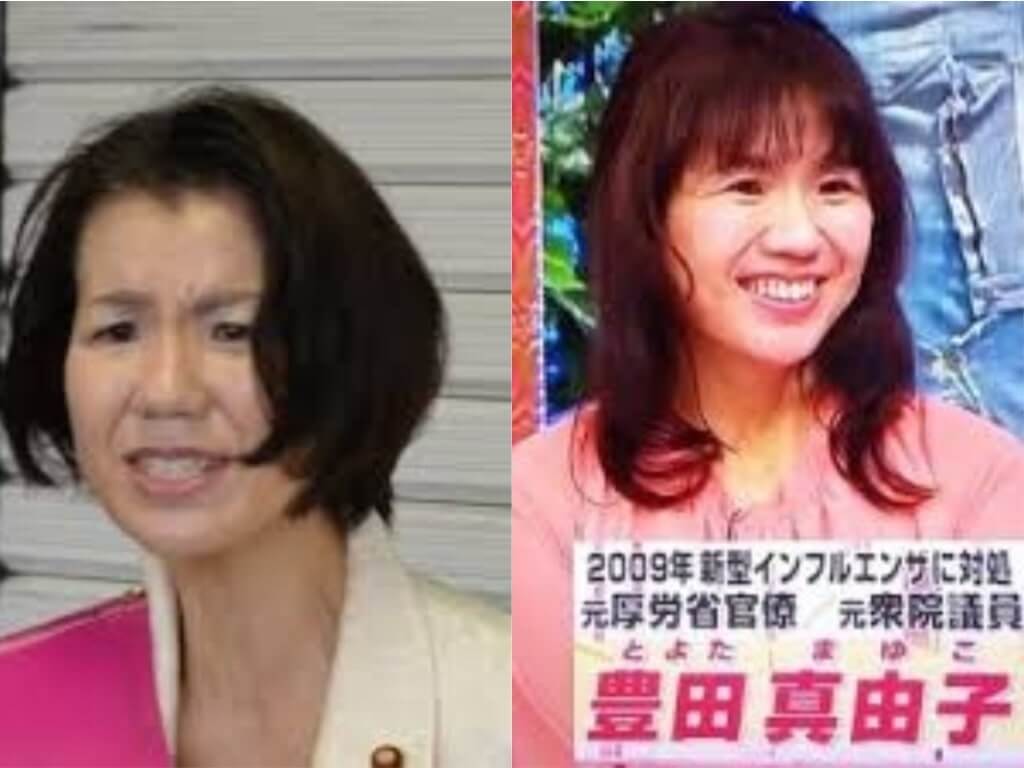 豊田真由子
