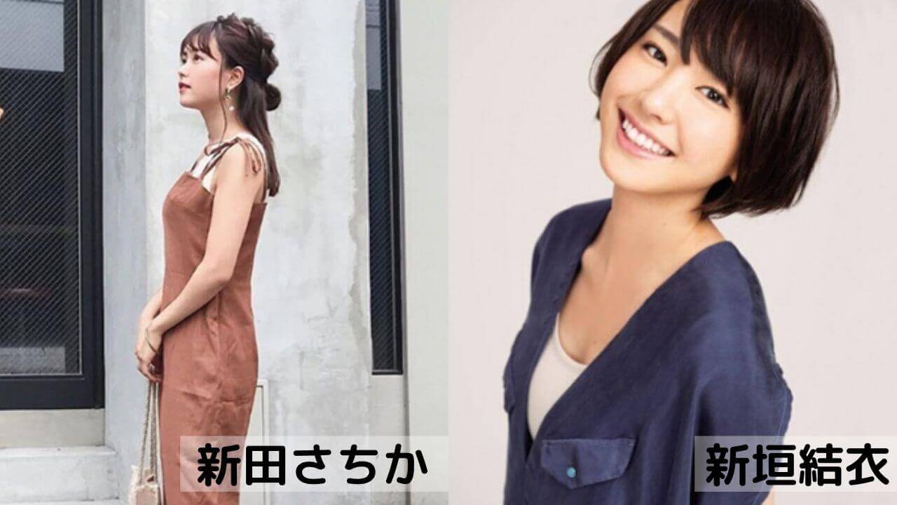 新田さちかは新垣結衣と同じくらいのカップサイズ