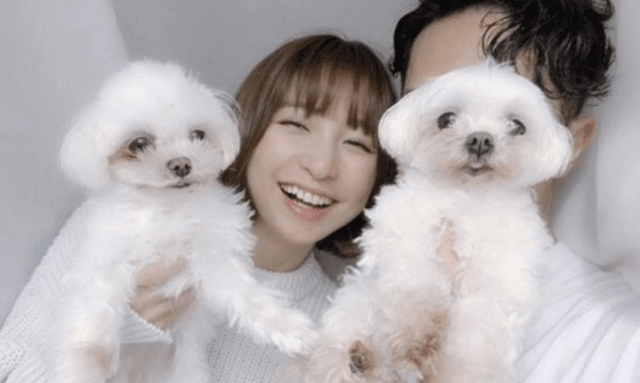 篠田麻里子の旦那は高橋勇太!顔画像も!ドッグフード店HITOWAN経営