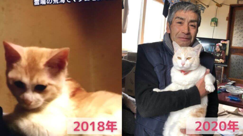 2018年と2020年で成長したピコ太郎