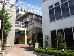 堀田真由の高校は旧・日出高校の芸能コース