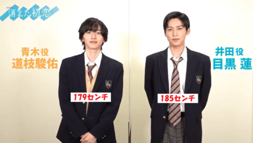 画像で検証