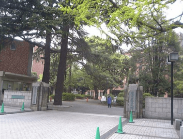 御曹司