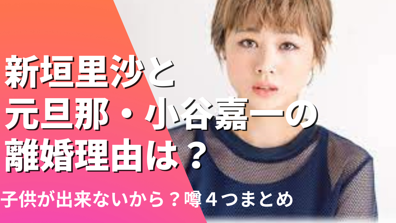 新垣里沙と元旦那・小谷嘉一の離婚理由は？子供ができないから？噂4つまとめ