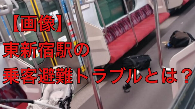 【画像】東新宿駅の乗客避難トラブルとは？電車外に飛び出し暴れてる？怪我人は？