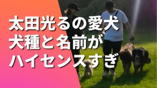 【画像】テラハ太田光るの愛犬の犬種がセレブ！２頭の名前も独特と話題
